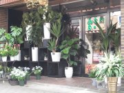 「湯田花園」　（山口県山口市）の花屋店舗写真1